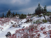 01-24 FALL SNOW STORM IN DOLLY SODS WILDERNESS, WV © KENT MASON