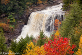 01-14  FALL AT BLACKWATER FALLS, WV, BLACKWATER CANYON  © KENT MASON