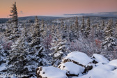 01-21  DAWN AT SNOW COVERED DOLLY SODS WILDERNESS, WV  © KENT MASON