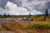 02-13  APPROACHING STORM ON MOUNTAIN TOP, DOLLY SODS WILDERNESS, WV  © KENT MASON