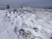 03-22  WIND SWEPT SNOW ON CABIN MTN., DOLLY SODS WILDERNESS, WV  © KENT MASON