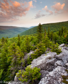 04A-27  FIRST LIGHT ON THE SOUTH FORK OF THE RED CREEK DRAINAGE, DOLLY SODS WILDERNESS, WV  © KENT MASON