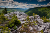 04A-15  RED CREEK CANYON FROM ROHRBAUGH PLAINS OVERLOOK, DOLLY SODS WILDERNESS, WV  © KENT MASON