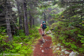 04A-23  HIKER ON SOUTH PRONG TRAIL, DOLLY SODS WILDERNESSS,WV  © KENT MASON