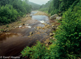 04A-33  NORTH FORK OF RED CREEK,  DOLLY SODS WILDERNESS, WV.  © KENT MASON