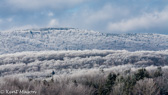 04C-49 WINTER IN THE VALLEY, CANAAN VALLEY, WV  © KENT MASON