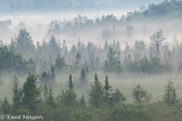 04C-05 FOG OVER THE REFUGE, CANAAN VALLEY, WV  © KENT MASON