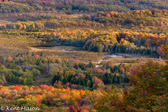 04C-03 VIEW OF BEAVER PONDS IN FALL COLOR, CANAAN VALLEY, WV  © KENT MASON