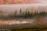 04C-43 FIRST LIGHT ON A FOGGY MORNING, CANAAN VALLEY, WV  © KENT MASON
