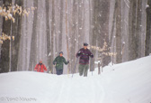 04C-50  CROSS COUNTRY SKIING IN THE VALLEY, CANAAN VALLEY, WV  © KENT MASON