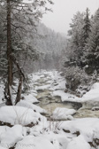 04D-35  WINTER IN THE BLACKWATER CANYON, WV   © KENT MASON