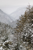 04D-34  WINTER IN THE BLACKWATER CANYON, WV   © KENT MASON