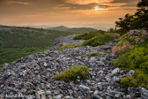 04F-10 DAY BREAK. PANTHER KNOB, NORTH FORK MOUNTAIN, WV © KENT MASON