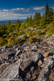 04H-22  VIEW ALONG THE CREST OF SPRUCE KNOB, WV  © KENT MASON