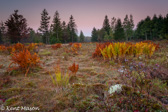 05D-16  HIGHLAND BOGS AND WETLANDS, WV  © KENT MASON