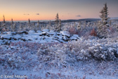 08-02  WINTER IN THE DOLLY SODS WILDERNESS, WV   © KENT MASON