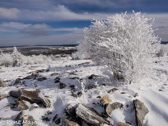 08--18  WINTER IN THE DOLLY SODS WILDERNESS, WV  © KENT MASON