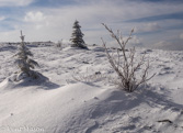 08-29  WINTER IN THE DOLLY SODS WILDERNESS, WV  © KENT MASON