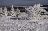 08-28  WINTER IN THE DOLLY SODS WILDERNESS, WV  © KENT MASON
