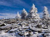 08-55  WINTER IN THE DOLLY SODS WILDERNESS, WV  © KENT MASON