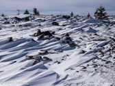 08-25  WINTER IN THE DOLLY SODS WILDERNESS, WV  © KENT MASON