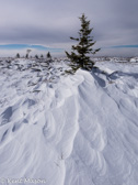 08-26  WINTER IN THE DOLLY SODS WILDERNESS, WV  © KENT MASON