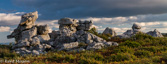 09-29 WV HIGHLAND PANORAMA FROM DOLLY SODS WILDERNESS,  © KENT MASON