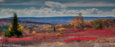 09-18 WV HIGHLAND PANORAMA FROM DOLLY SODS WILDERNESS,  © KENT MASON