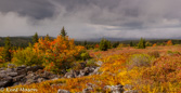09-26 WV HIGHLAND PANORAMA FROM DOLLY SODS WILDERNESS,  © KENT MASON