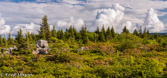 09-20 WV HIGHLAND PANORAMA FROM DOLLY SODS WILDERNESS,  © KENT MASON