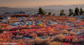 09-27 WV HIGHLAND PANORAMA FROM DOLLY SODS WILDERNESS,  © KENT MASON