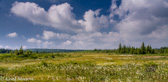 09-31 WV HIGHLAND PANORAMA FROM DOLLY SODS WILDERNESS,  © KENT MASON