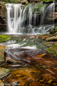 10A-13 ELAKALA FALLS, BLACKWATER CANYON, WV  © KENT MASON