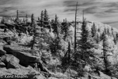 INFARED IMAGE, HIGHLANDS OF WV,  © KENT MASON