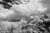 10M-24 INFRARED IMAGE, HIGHLANDS OF WV,  © KENT MASON